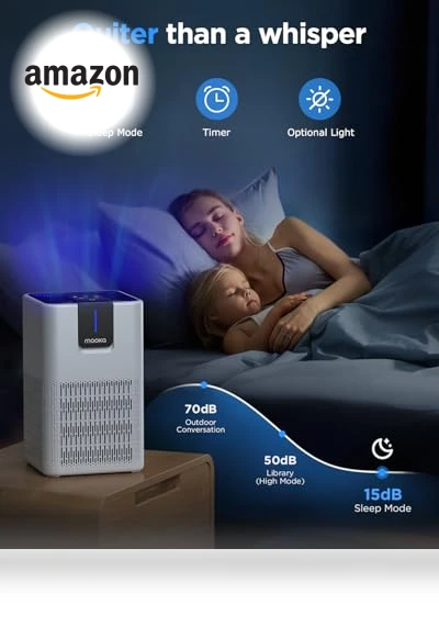 H13 HEPA Air Purifier — Activated Carbon Air Purifiers, Mooka