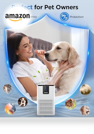 H13 HEPA Air Purifier — Activated Carbon Air Purifiers, Mooka