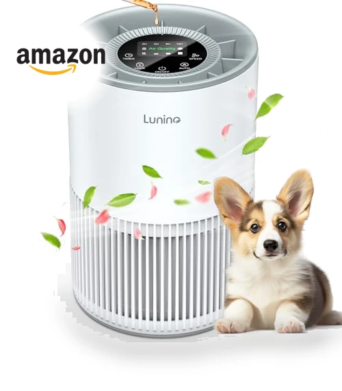 H13 True HEPA Air Purifier — Electrostatic Air Purifiers, LUNINO