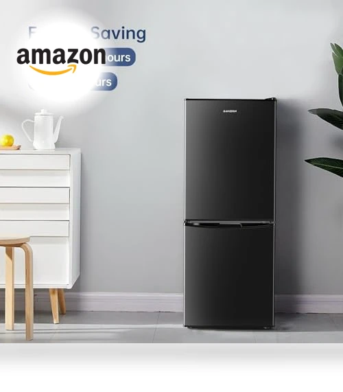 Small Refrigerator with Freezer — Mini Fridges, BANGSON