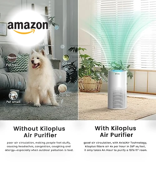 Smart WiFi Air Purifier for Large Rooms — Activated Carbon Air Purifiers, Afloia
