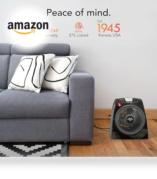 Space Heater with Remote — Home Climate Control, Vornado