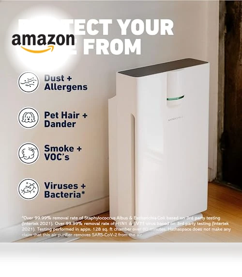 True HEPA Air Purifier — Activated Carbon Air Purifiers, HATHASPACE