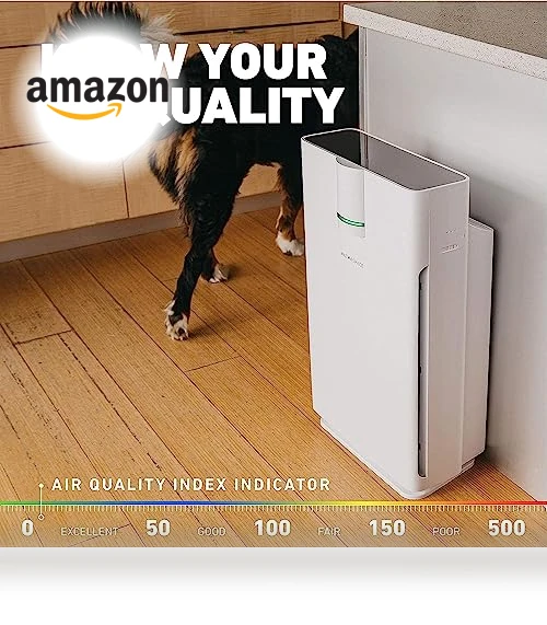 True HEPA Air Purifier — Activated Carbon Air Purifiers, HATHASPACE
