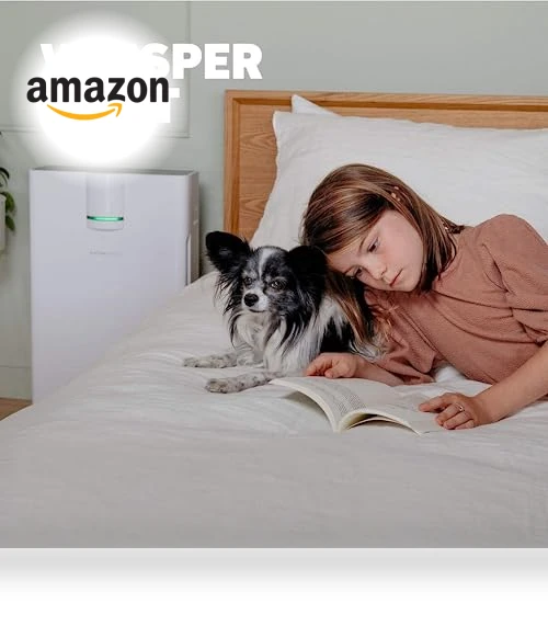True HEPA Air Purifier — Activated Carbon Air Purifiers, HATHASPACE
