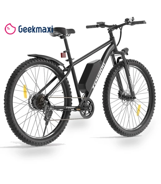 Electric Bike — E-Bikes, Touroll