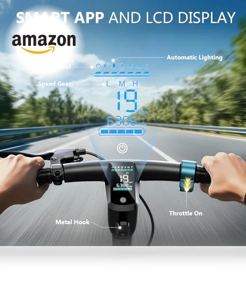 Electric Scooter with 10" Tires — Electric Self-Balancing Scooters, SISIGAD