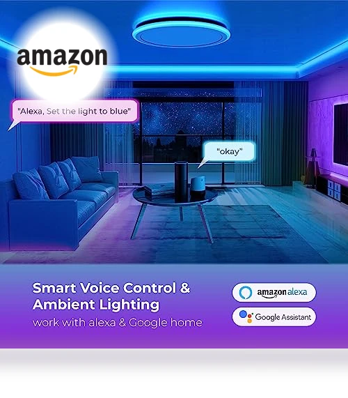 Smart RGB LED Flush Mount Ceiling Light — LED, BLNAN