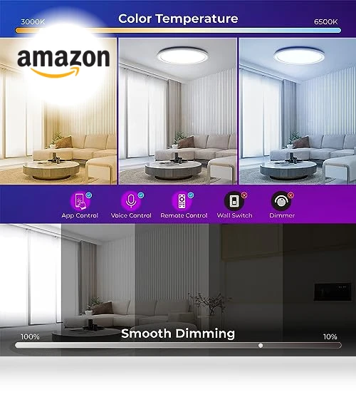 Smart RGB LED Flush Mount Ceiling Light — LED, BLNAN