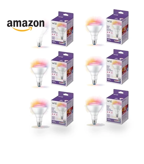 Color LED Smart Bulb — LED, WiZ