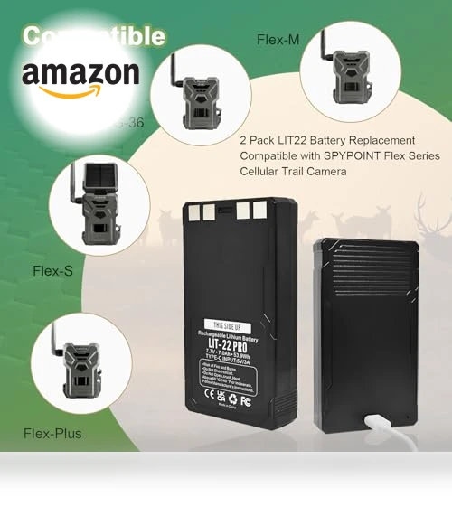 Rechargeable Lithium Battery Pack - 2 Pack — Batteries, ROYEUEU