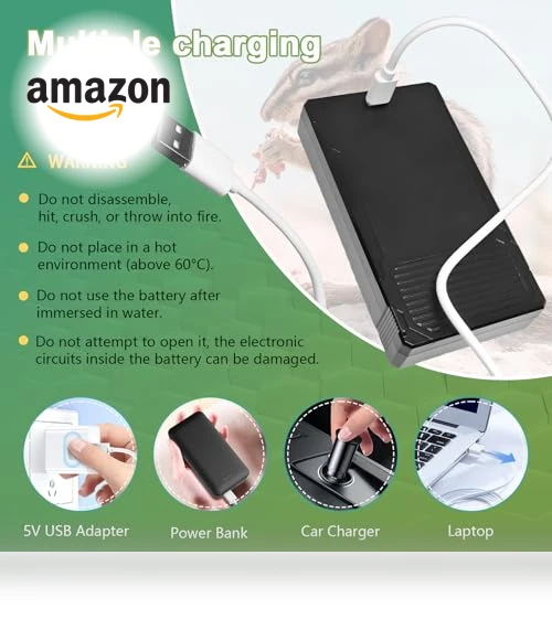 Rechargeable Lithium Battery Pack - 2 Pack — Batteries, ROYEUEU