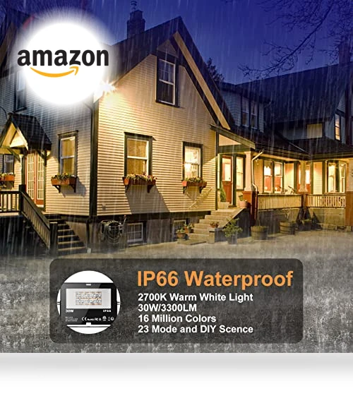 RGB Color Changing LED Flood Lights — Outdoor Light Projectors, ChangM