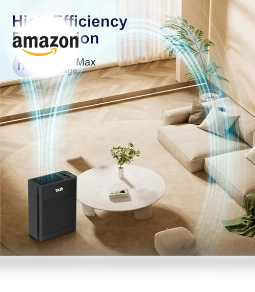 Air Purifier for Home Large Room — HEPA Air Purifiers, ToLife