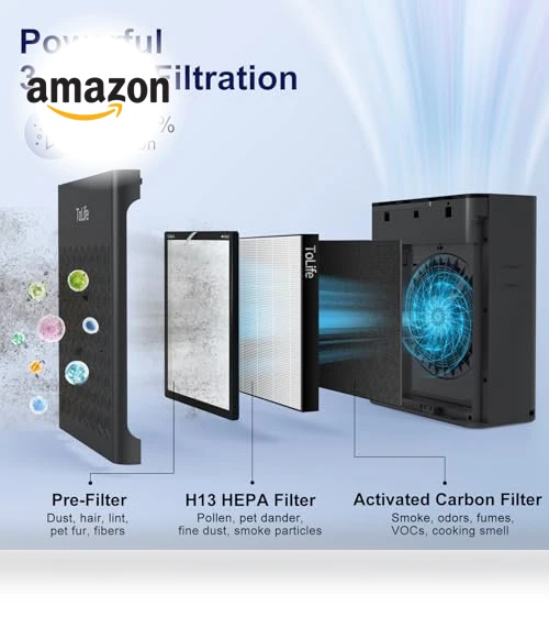Air Purifier for Home Large Room — HEPA Air Purifiers, ToLife