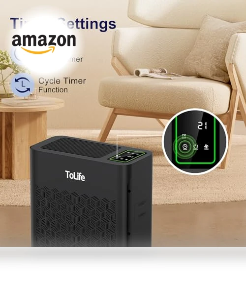 Air Purifier for Home Large Room — HEPA Air Purifiers, ToLife