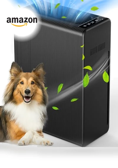 Large Room Air Purifier — HEPA Air Purifiers, Mooka Family