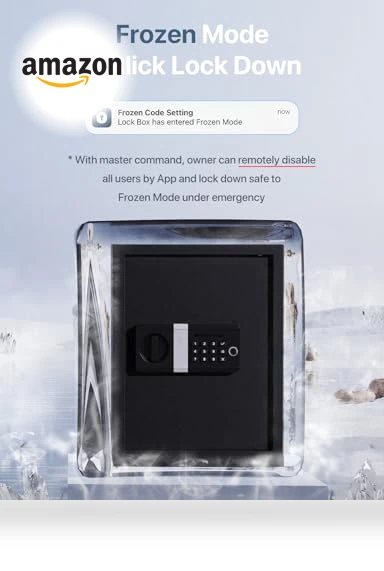 Smart Home Safe — Smart Home Security, FORFEND Security