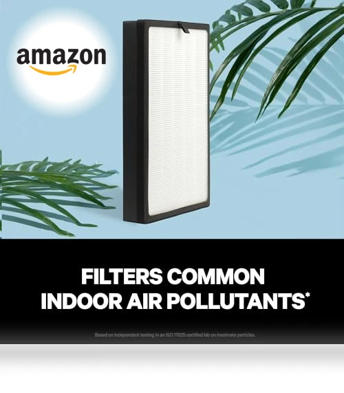 HEPA Air Filter Replacement — Activated Carbon Air Purifiers, PuroAir