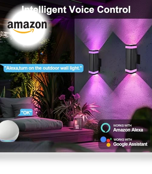 Smart Up and Down Lights Outdoor 2 Pack — Garden Illumination, wowlite