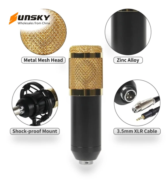 Studio Condenser Microphone Set with Sound Card — Microphones