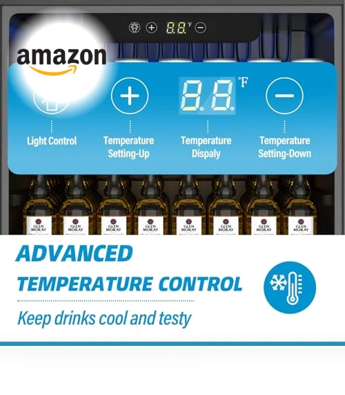 Compact Freestanding Beverage Refrigerator — Mini Fridges, Erivess