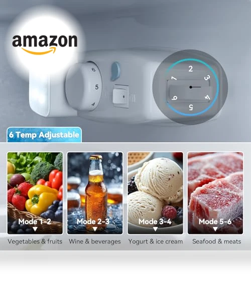 Double Door Refrigerator with Freezer — Mini Fridges, Anypro
