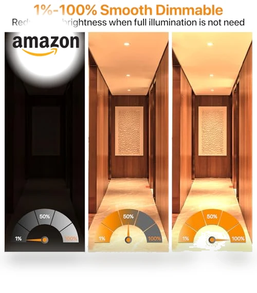 LED Recessed Lighting — Close To Ceiling, ORALUCE