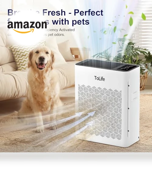 Powerful Air Purifier for Home Large Room — HEPA Air Purifiers, ToLife