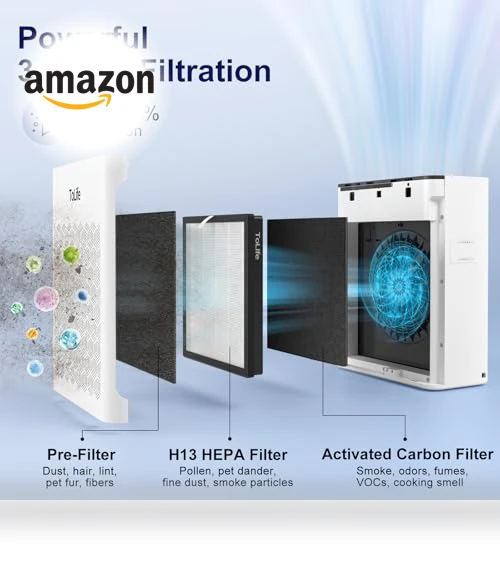 Powerful Air Purifier for Home Large Room — HEPA Air Purifiers, ToLife