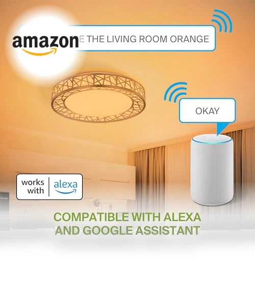 Smart RGBW Flush Mount Ceiling Light — Overhead Lighting, ASD