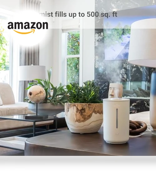 Wellness Humidifier — Air Moisturizers, Hey Dewy
