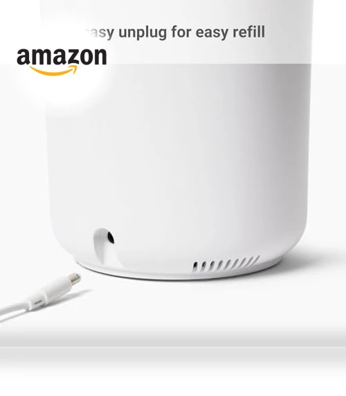 Wellness Humidifier — Air Moisturizers, Hey Dewy