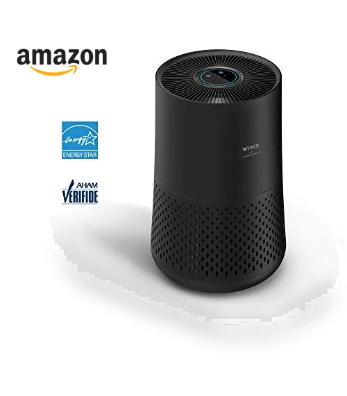 Air Purifier for Bedroom — HEPA Air Purifiers, Winix