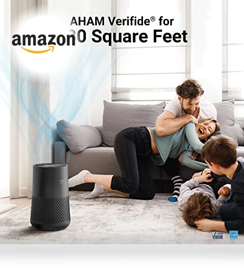 Air Purifier for Bedroom — HEPA Air Purifiers, Winix