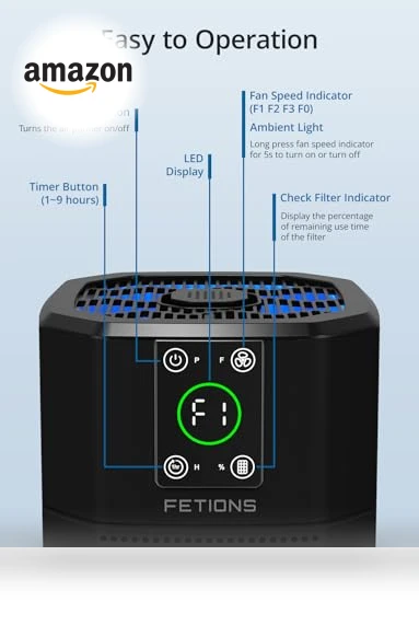 Compact Air Purifier with H13 HEPA Filter — HEPA Air Purifiers, FETIONS