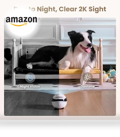 Indoor Security Camera Robot — Cameras & Monitors, Enabot