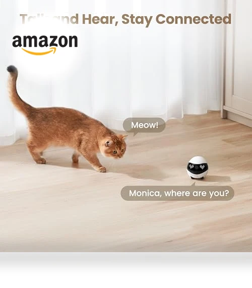 Indoor Security Camera Robot — Cameras & Monitors, Enabot