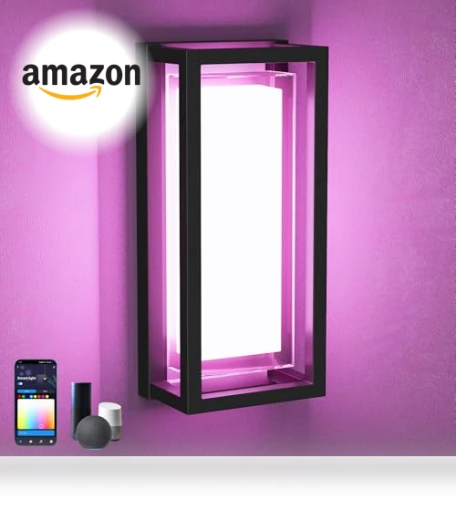 LED Smart Outdoor Wall Lights — Garden Illumination, WISELUME