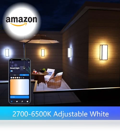 LED Smart Outdoor Wall Lights — Garden Illumination, WISELUME