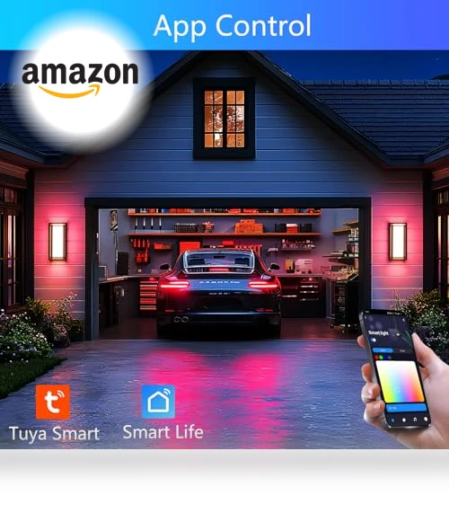 LED Smart Outdoor Wall Lights — Garden Illumination, WISELUME