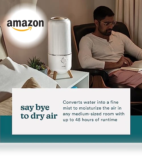 Ultrasonic Humidifier — Air Moisturizers, Homedics