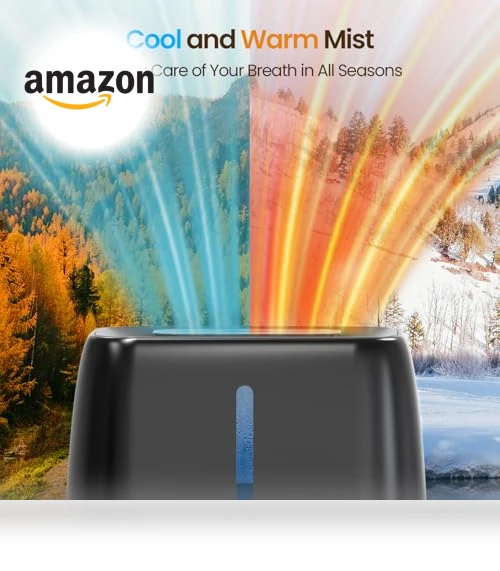 Ultrasonic Humidifier — Air Moisturizers, chooone