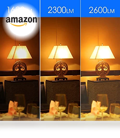 150 Watt Equivalent LED Light Bulb — Compact Fluorescent, ENERGETIC SMARTER LIGHTING