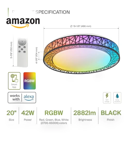 20 Inch Smart RGBW Flush Mount Ceiling Light — Overhead Lighting, ASD