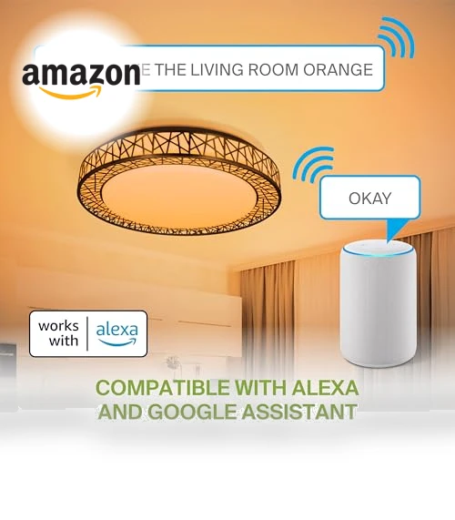 20 Inch Smart RGBW Flush Mount Ceiling Light — Overhead Lighting, ASD