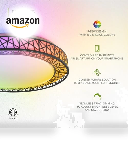 20 Inch Smart RGBW Flush Mount Ceiling Light — Overhead Lighting, ASD