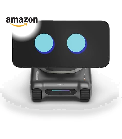 AI Desktop Companion Robot — Security & Surveillance Robots, TangibleFuture