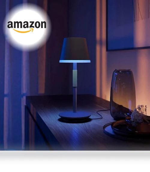 Go Smart Portable Table Lamp — LED, Philips Hue