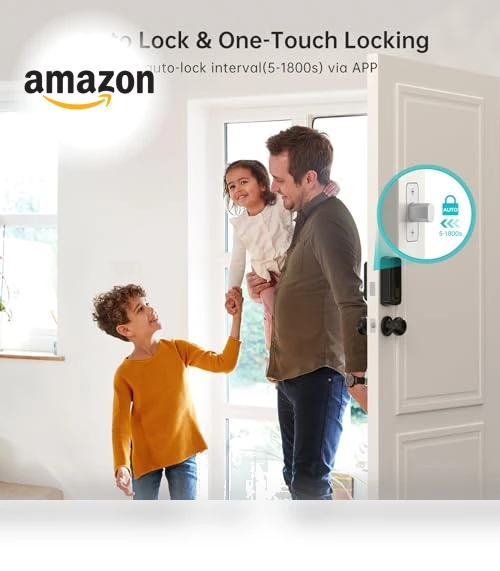 Keyless Entry Door Lock Deadbolt with Handle Set — Deadbolts, hornbill